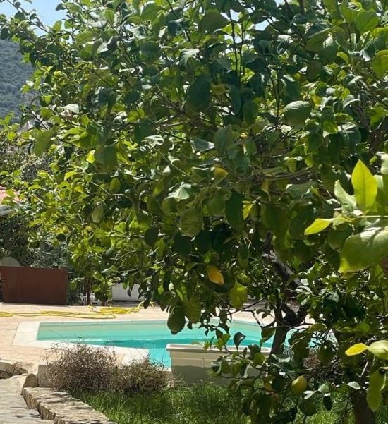Sa Murta Bianca Guesthouse Будоні Екстер'єр фото